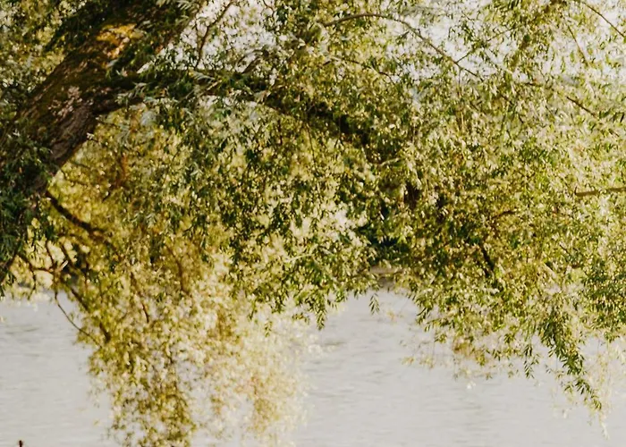 Tri Vrbe * Ljubovija